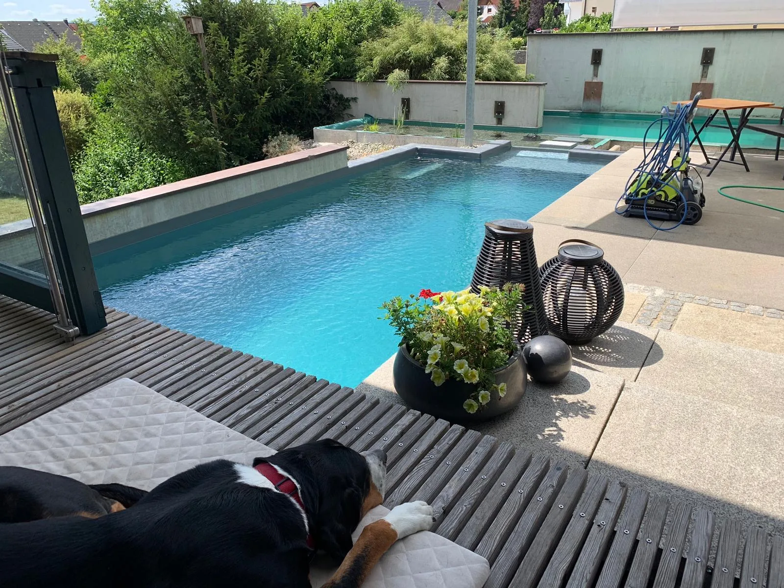 Schwimmteich oder Naturpool: Was passt zu Ihrem Garten